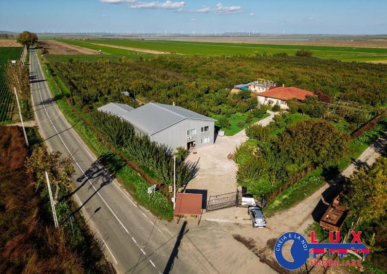 ID 7785 LIVADA SABANGIA DE VANZARE - 16