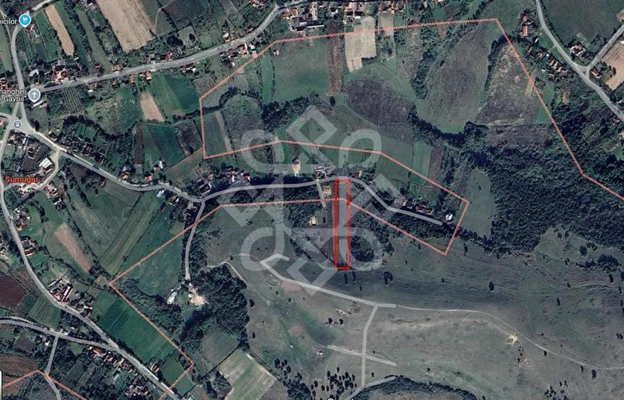 Teren intravilan 5995 mp de vanzare in Hidiselu de Sus - 3