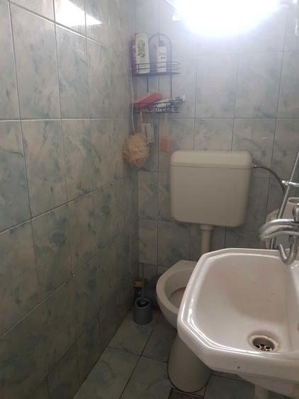 Electronicii, D-na Ghica, sec 2, d-na peste 45 ani, fara animale - 4