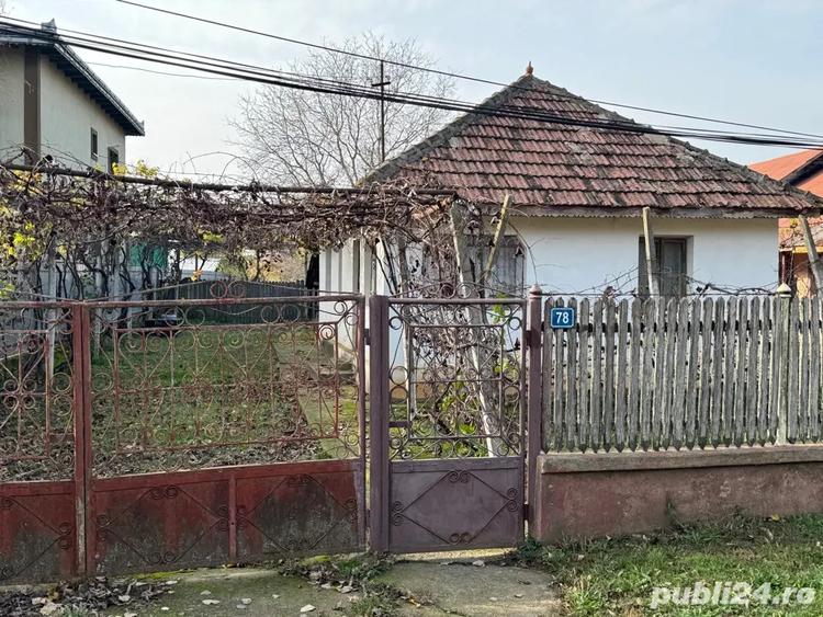 teren cu casa de vanzare - 2