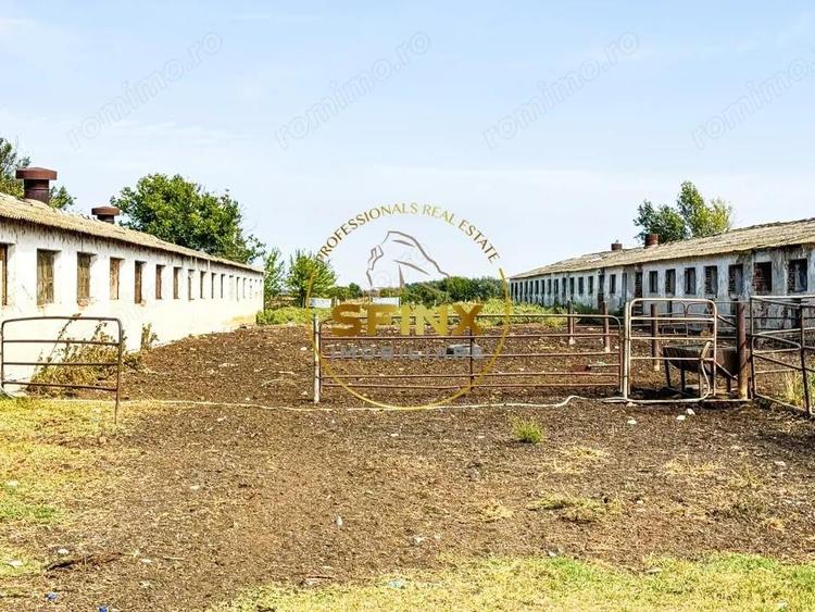 Teren intravilan cu potential de investitie 62000mp - 7