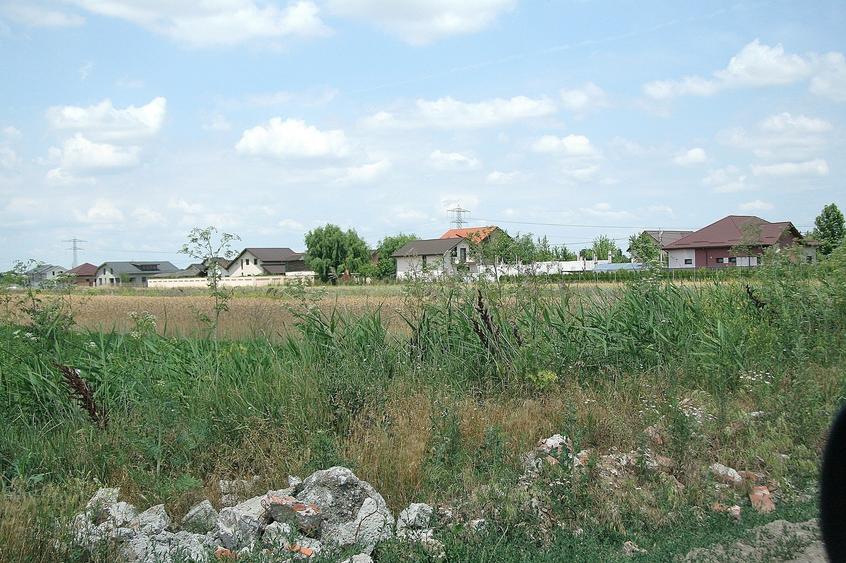 Ocazie ! Tartasesti - Str. Giurgiului, 20.000 mp. teren intravilan - 5