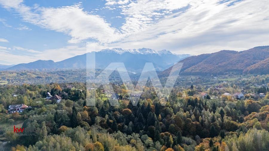 Vanzare teren intravilan 37723 mp Zarnesti Tohanita - 8