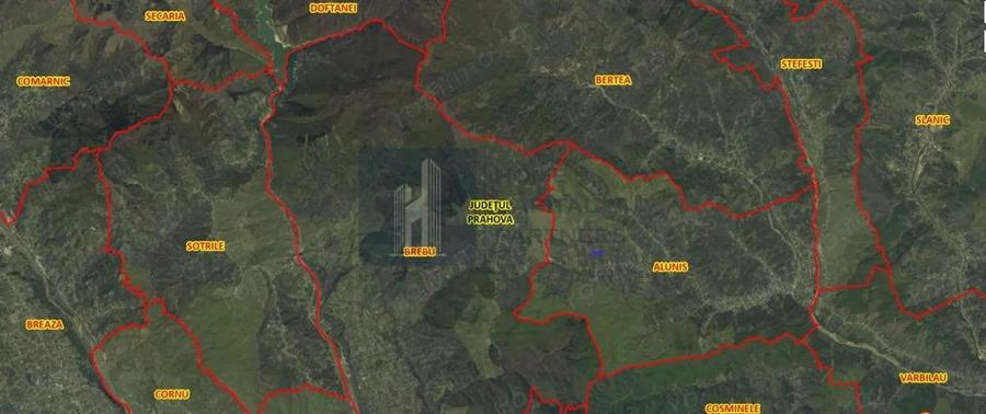 Teren de vanzare 9.845 mp in mijlocul naturii, Aluni?, Prahova - 3