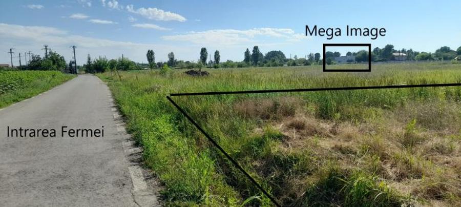 CIOLPANI, Intravilan, padurea Snagov, planul 2 DN 1 - 3