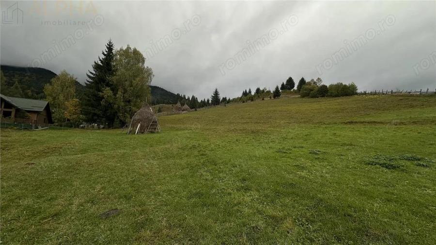 Teren Intravilan de 16.000 mp, Utilitati si Acte in Regula - 3