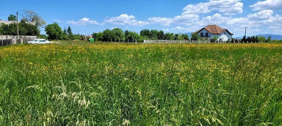 Teren Intravilan Podul Olt - 5