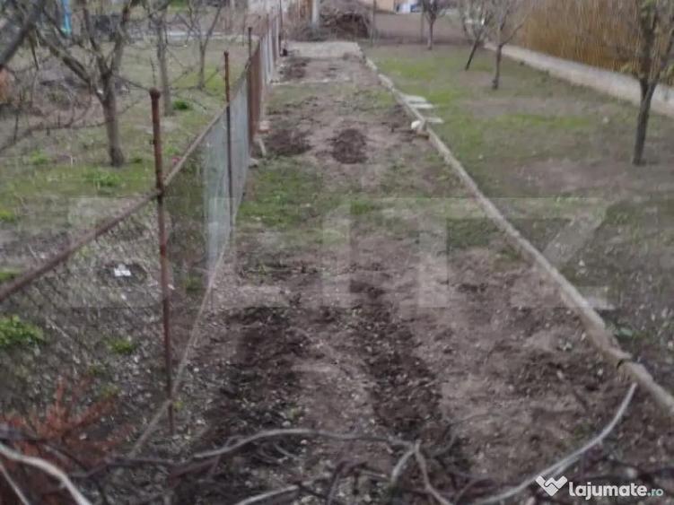 Apartament 3 camere cu gradina in Mihai Viteazu - 3