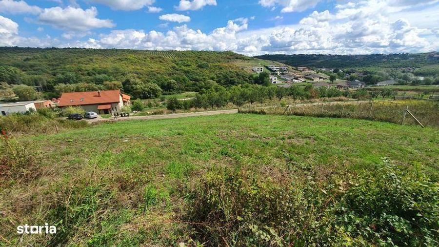 Vanzare teren 1000 mp - 3