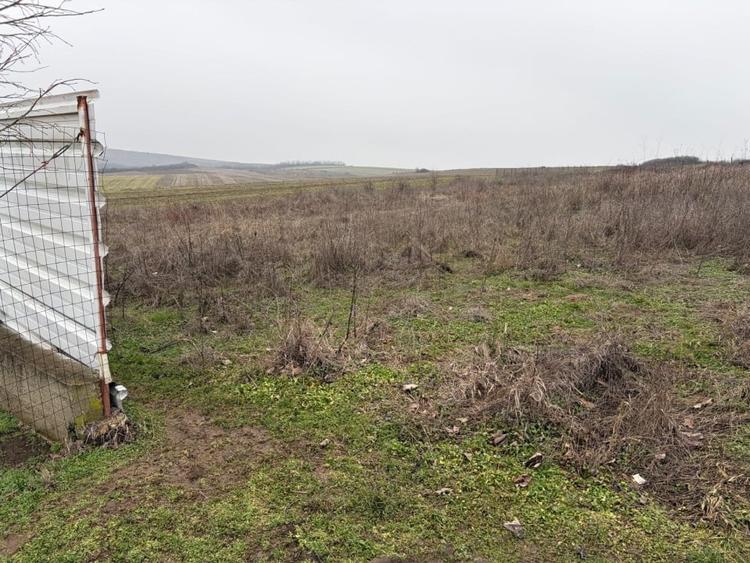 Teren intravilan 500 mp, Simnicul de Sus, utilitati la front - 3