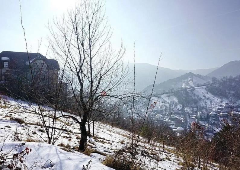 Teren Intravilan - Zona Drumul Poienii - 7