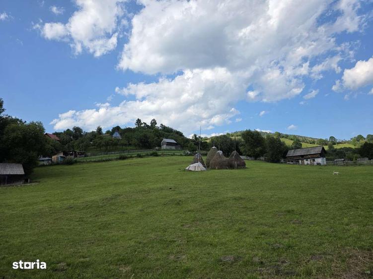 Teren intravilan parcelabil 1000 mp - Rucar, Arges - 1