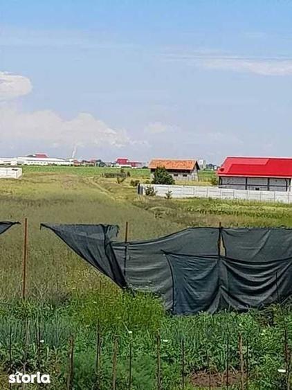 Vand teren intravilan in Cosoveni - 3