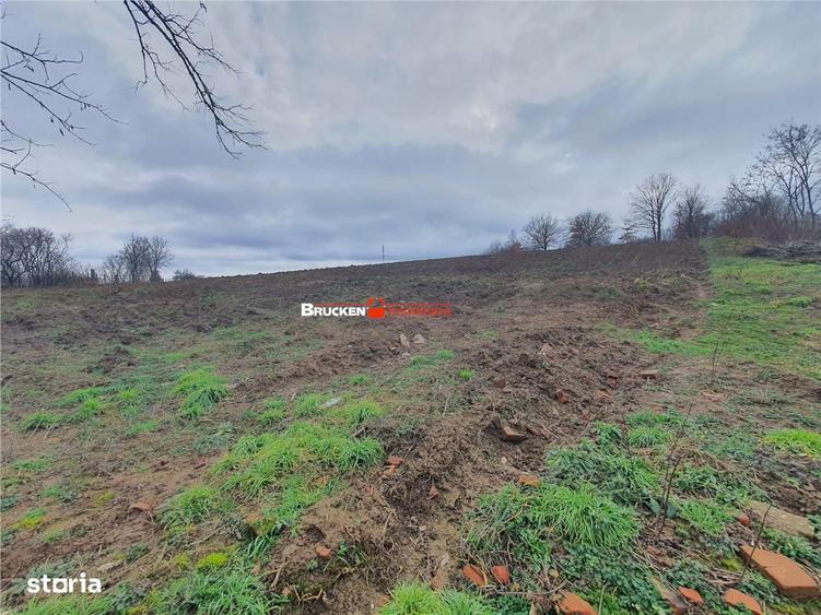 Teren de vanzare - 1