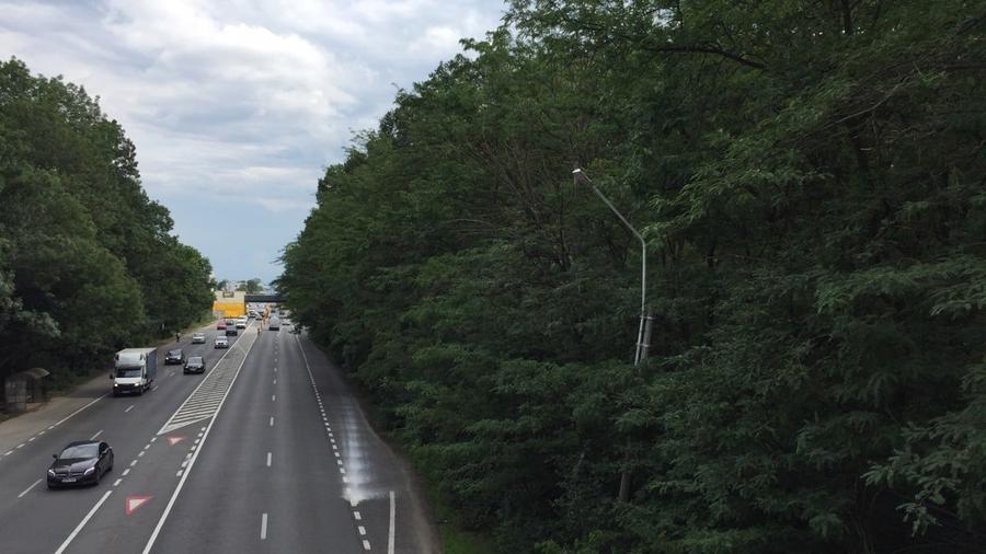 REL4000144 Teren DN1 - Padurea Petresti - 1