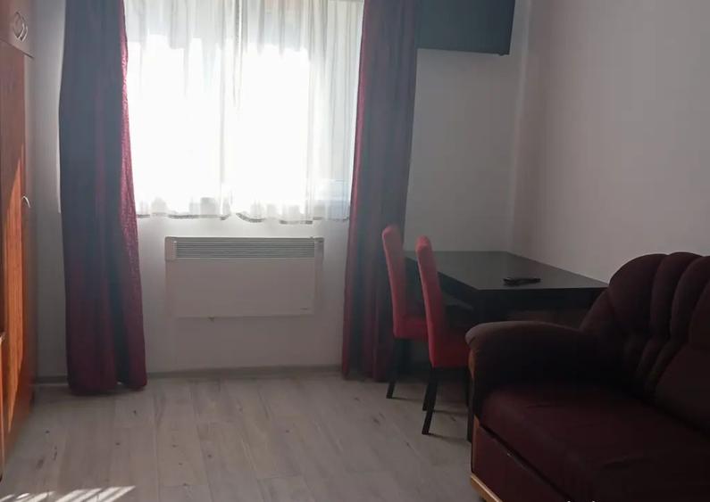 Inchiriez garsoniera Vasile Aaron 245 euro - 5