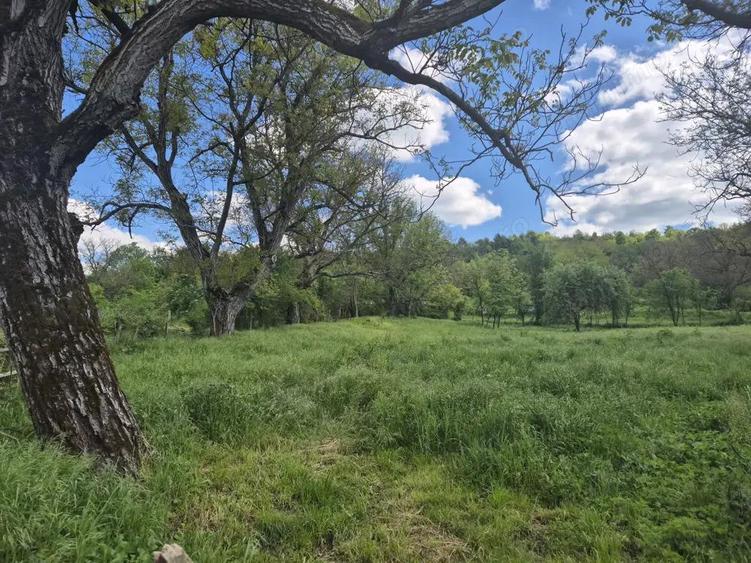 Vand loc de casa Goruia - 12