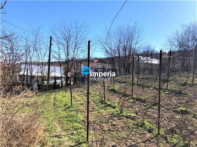 Teren de vanzare, sup 1500 mp, zona Galata - Cicoarei - 6