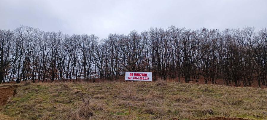 Teren Intravilan Strada Dedradului - 5