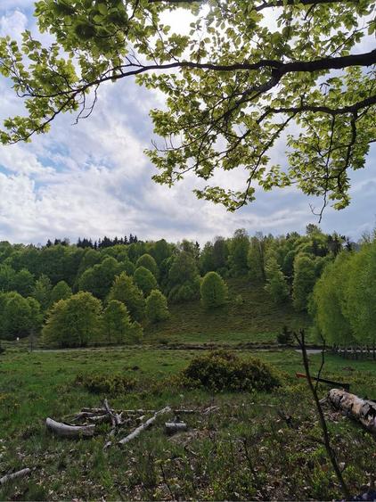 Vand teren intravilan Cavnic - 5