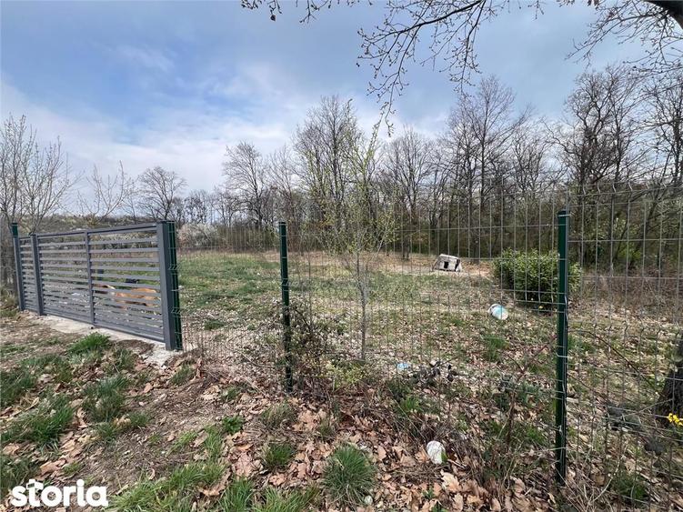 RECO Teren Saldabagiu de Munte - 4