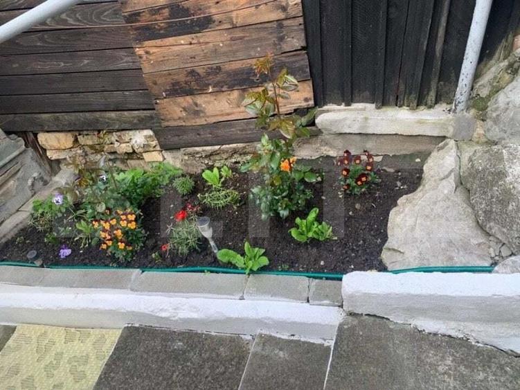 Casa individuala, cu 3 camere in zona Turda Noua - 3