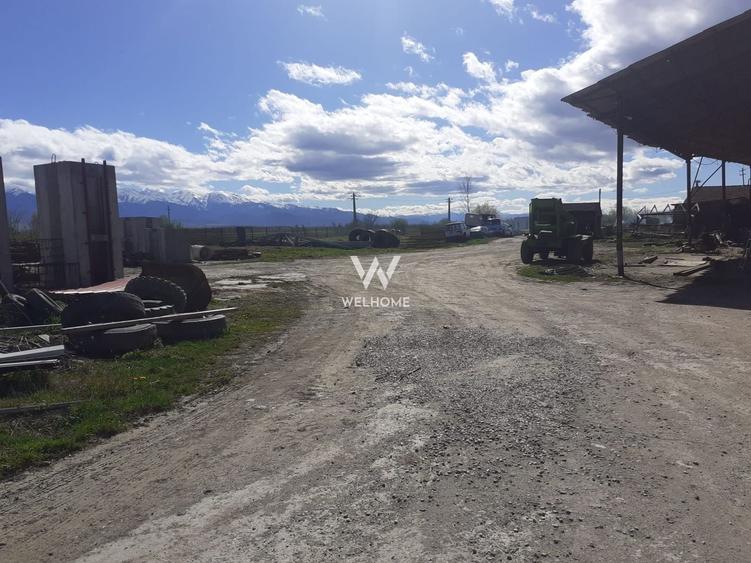 Spatiu industrial-baza depozitare cu cale ferata-Arpasu de Jos - Sibiu - 13