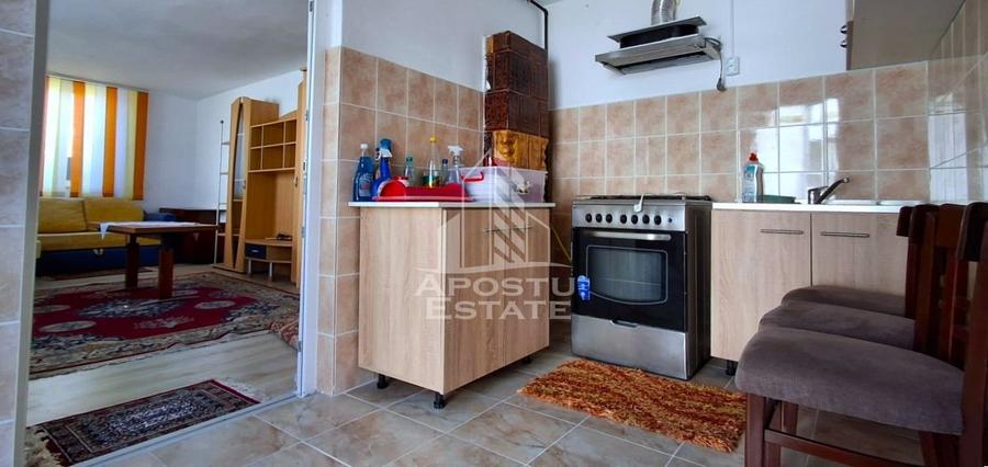 Casa de vanzare in Ineu formata din 2 cladiri - 31