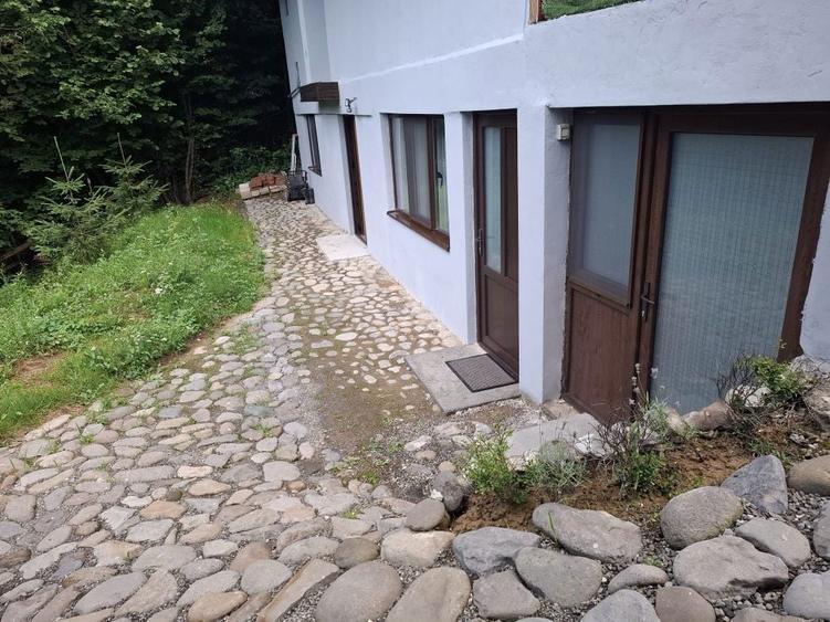 Cabana Zona Turistica Bistra Muresului - 2