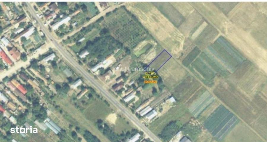 Teren Branceni, ID: R2942560