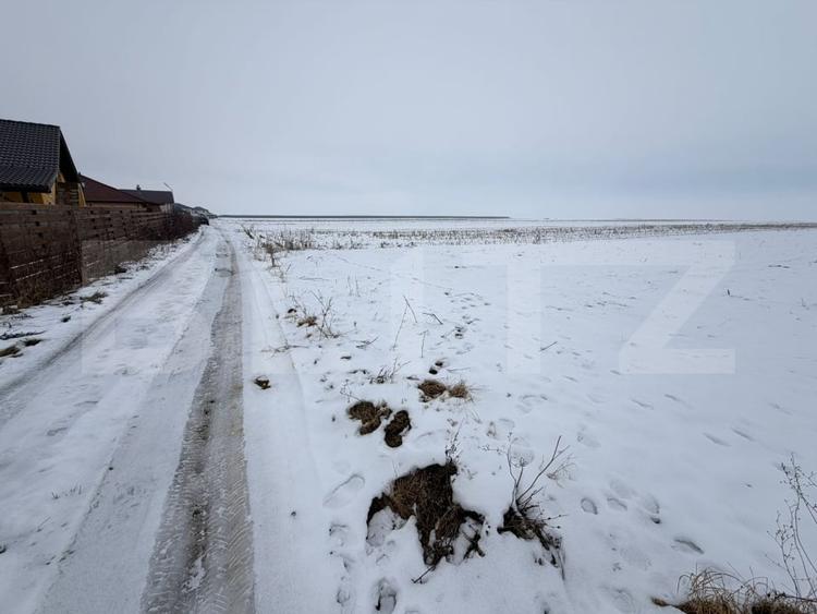 Teren agricol extravilan de 9000 mp, în Tărlungeni