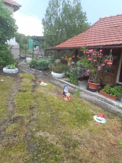 Casa de vanzare! - 1