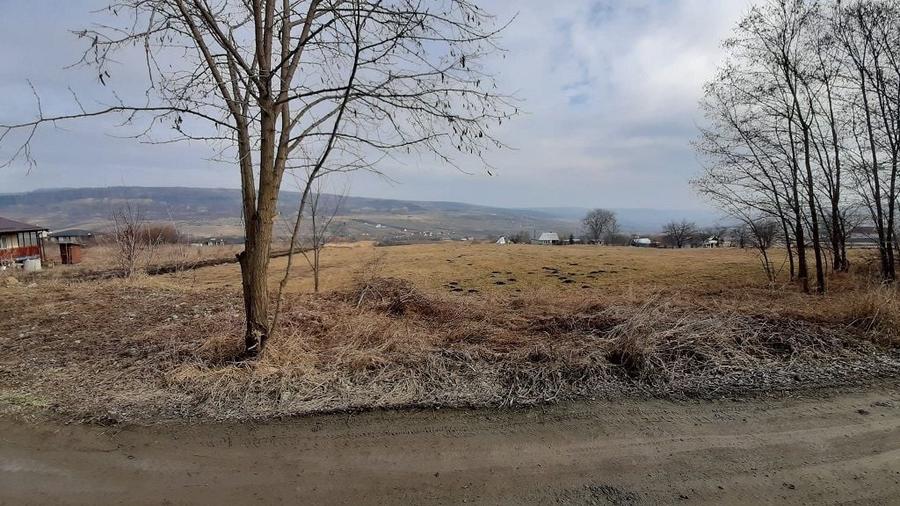 Teren agricol extravilan de 3684 mp, în Iris