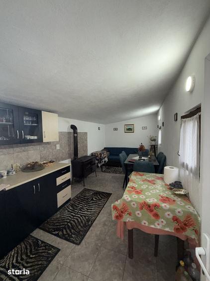 Casă cu 6 camere cu Teren 5600 Mp în Golești