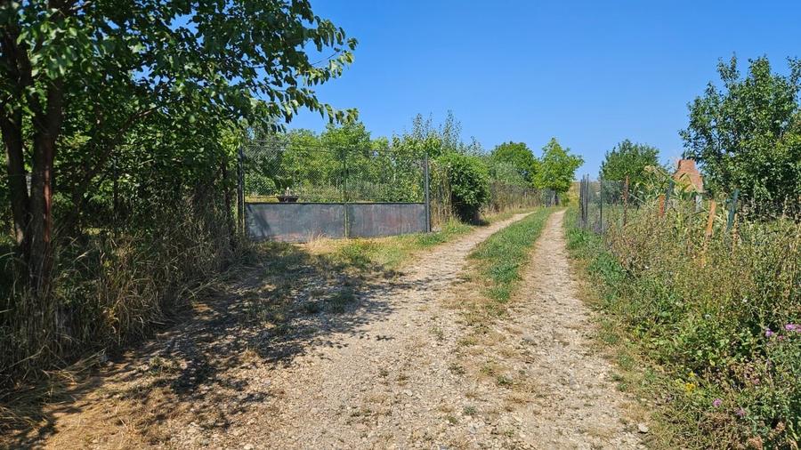 Teren Construcții intravilan de 1801 mp, în Borhanci