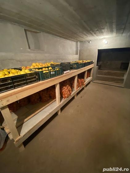 Casă cu 2 camere cu Teren 2200 Mp în Gostavățu
