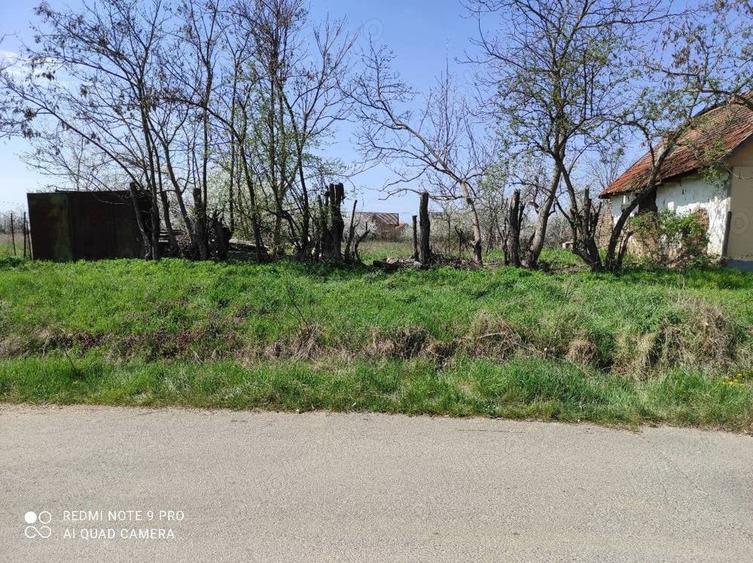 Teren de 1745 mp, în Ianova
