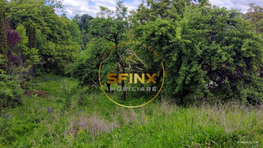 Teren intravilan de vanzare in Breaza – Strada Primaverii - 8