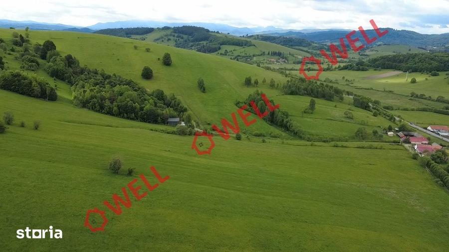 Teren extravilan de vanzare in Barcani, sat Sarama?! - 1