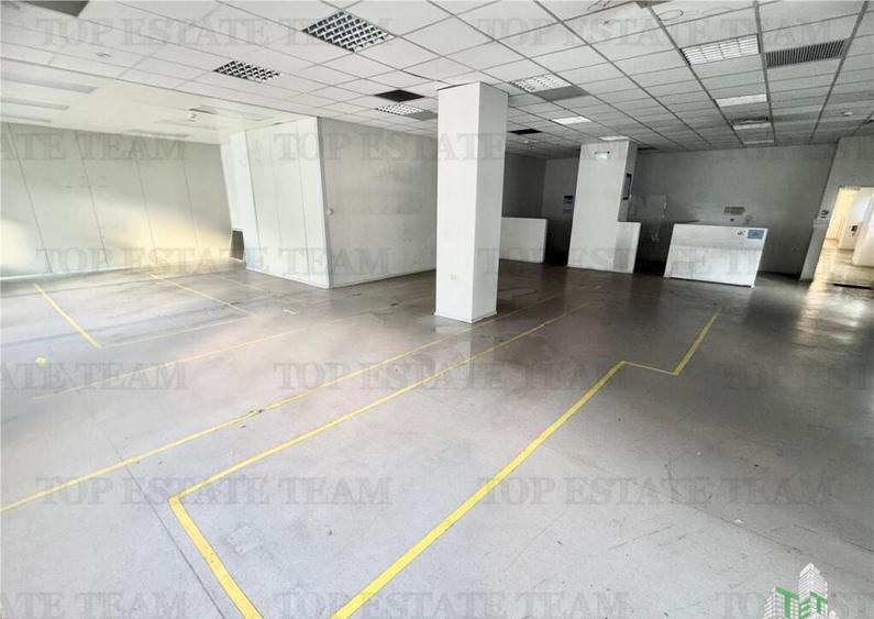 Spatiu industrial de inchiriat Central / Vitan - 11