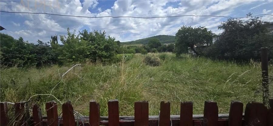 Casa renovata de vanzare Crainimat , BN cu teren 3148 mp - 1