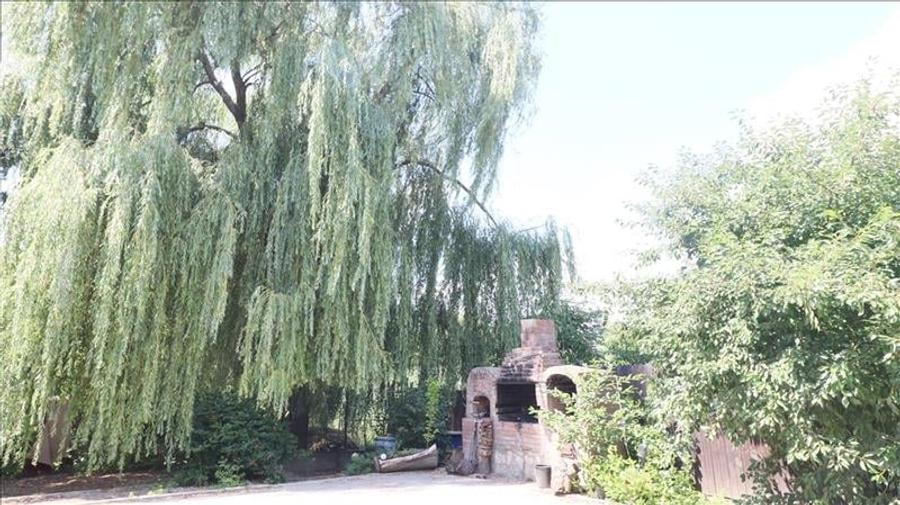 Vila individuala in Barnova 3 camere, 1000 mp teren, curte superba amenajata, ga - 21