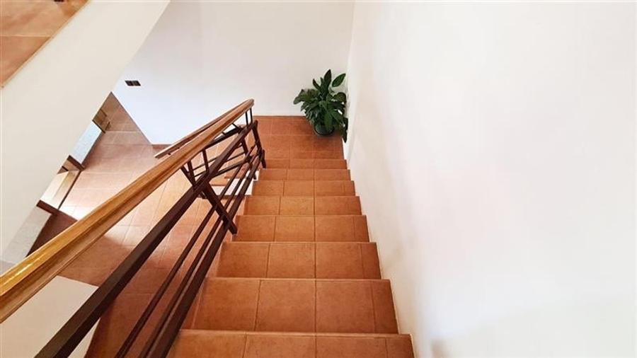 Unitate in Duplex Dumbravita intre strazile Balcescu-Ferventia padure - 17