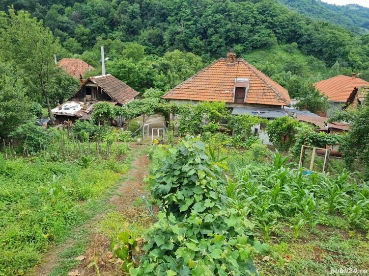Casa de vanzare - 1