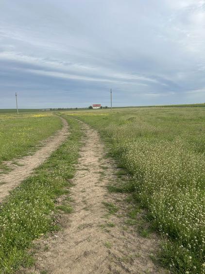 Teren extravilan Alexandria de Inchiriat sau de vanzare. - 6