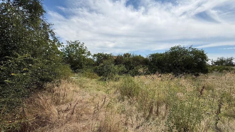 REL4001178 Teren I De Vanzare I Domnesti - 3