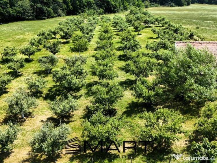 Teren extravilan 5000mp zona Cisnadie - 4