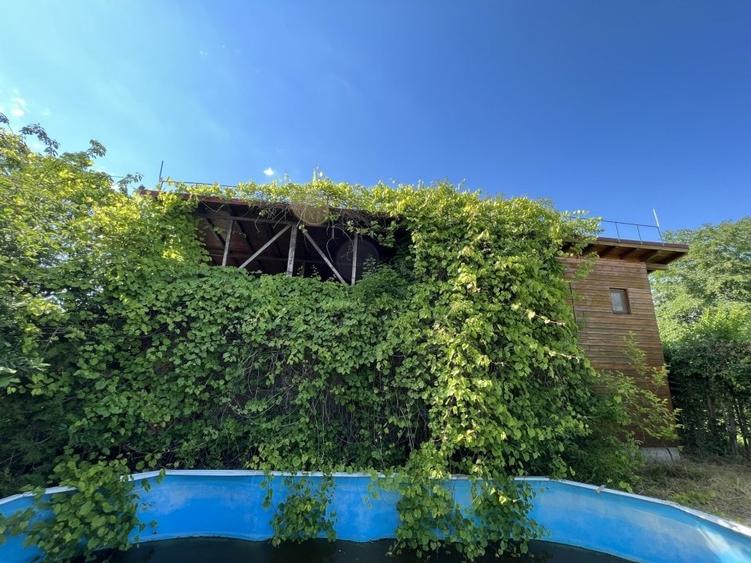 Casa-langa studiourile Buftea, 2 constructii, curte cu pomi, 2300mp, langa lac - 37