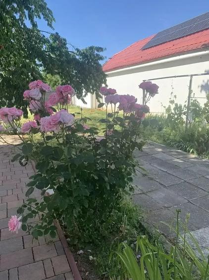 Casă cu 2 camere cu Teren 500 Mp în Central