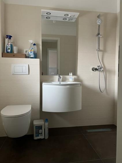 Duplex, 4 camere, 290mp teren, 125mp utili, curent trifazic -  Sacalaz - 12